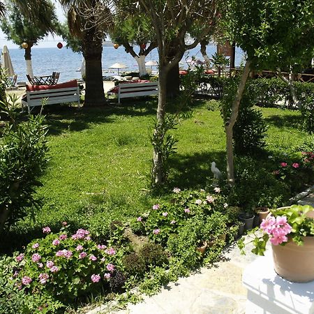 Yilmaz Hotel Ortakent Eksteriør billede
