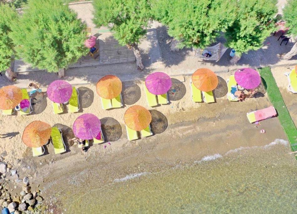 Yilmaz Hotel Ortakent Eksteriør billede