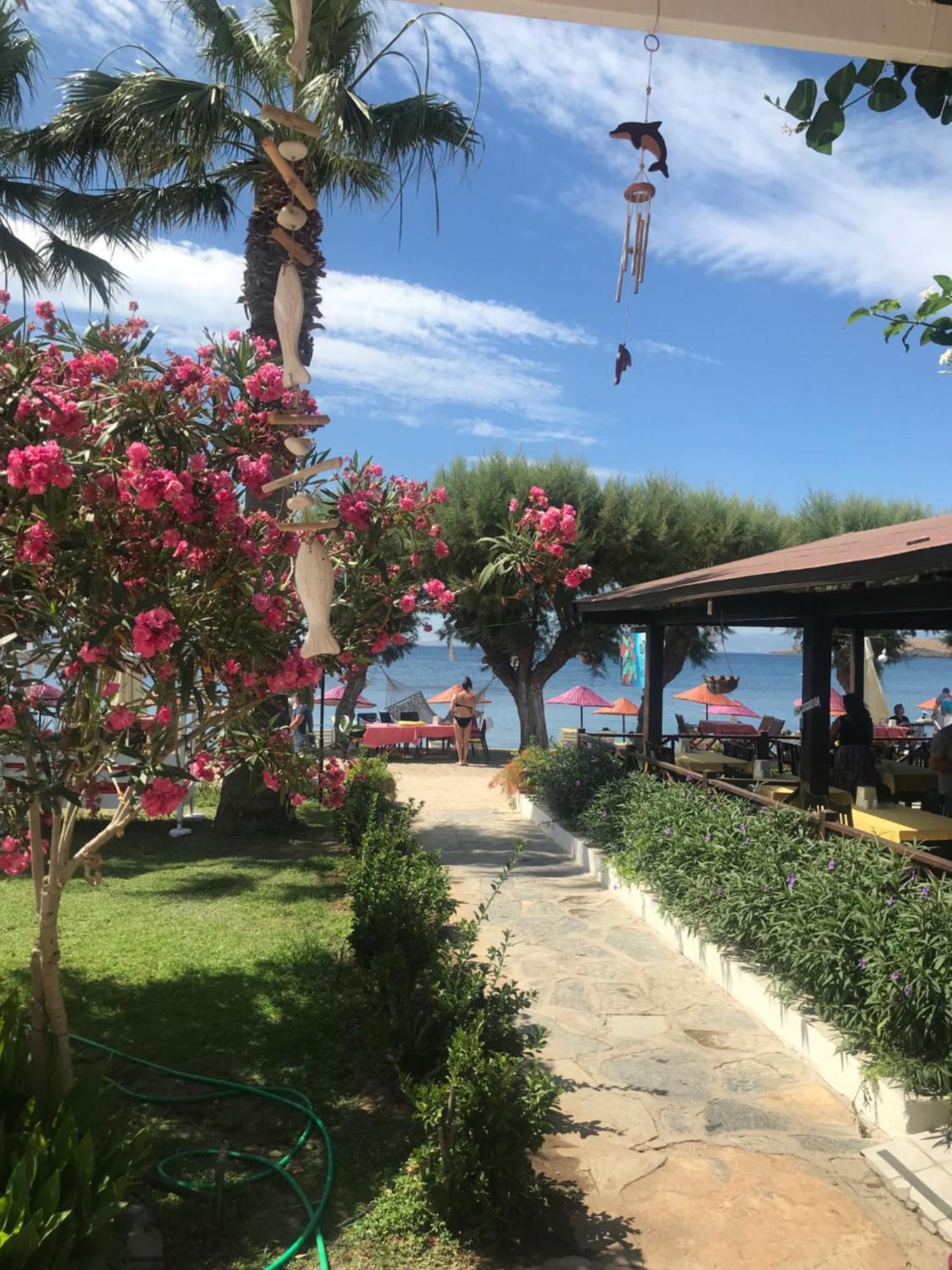 Yilmaz Hotel Ortakent Eksteriør billede