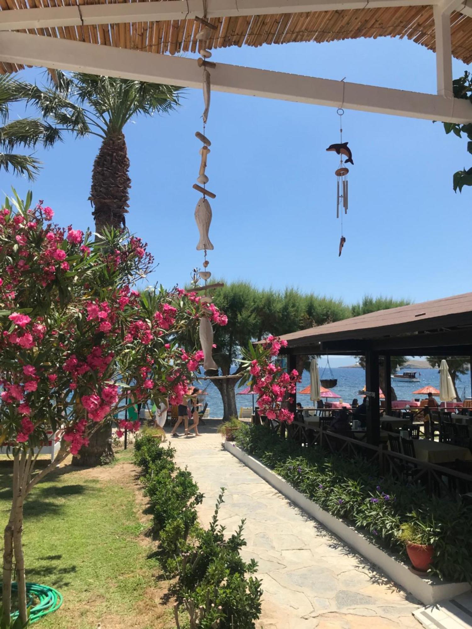 Yilmaz Hotel Ortakent Eksteriør billede