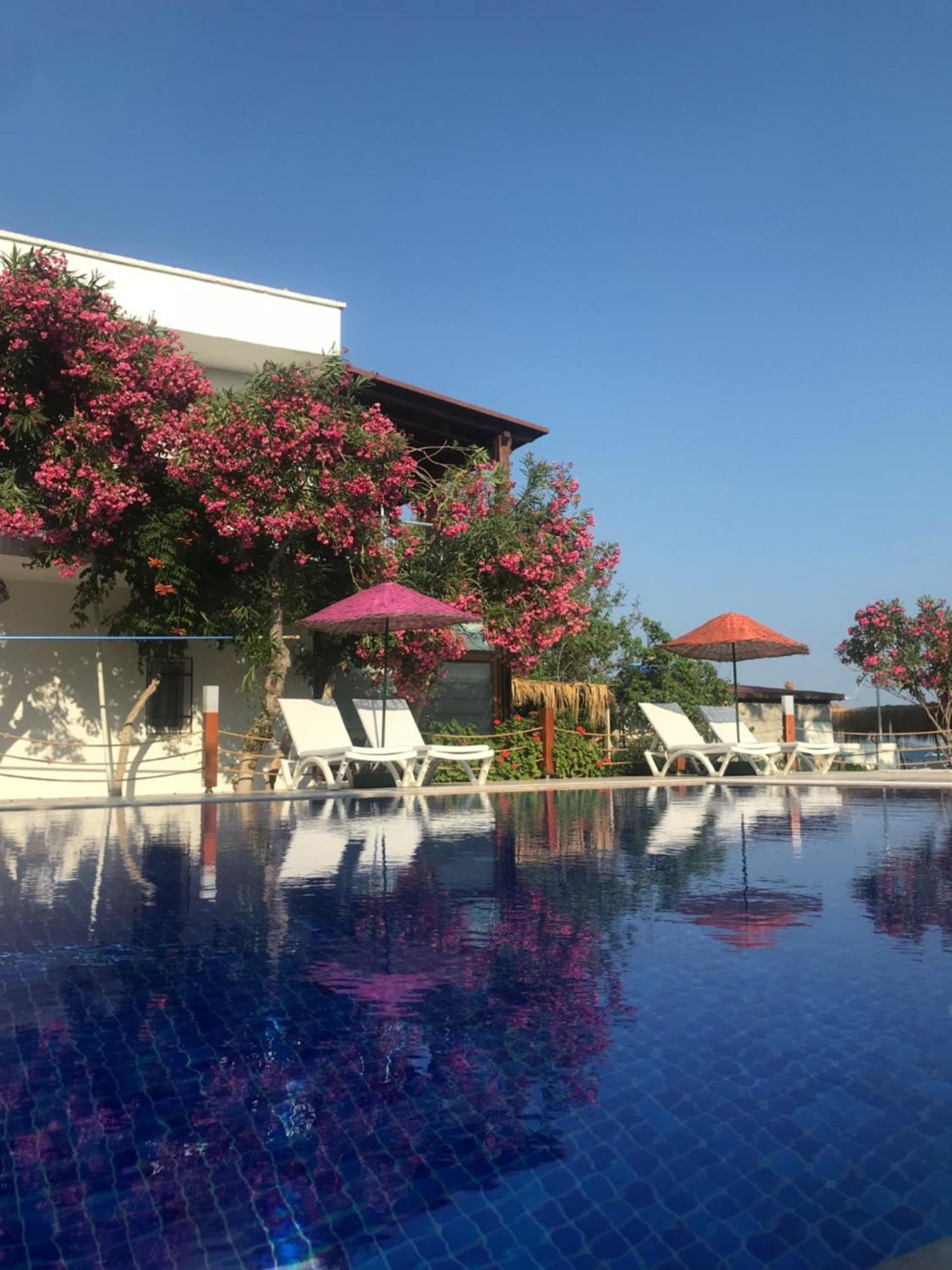 Yilmaz Hotel Ortakent Eksteriør billede